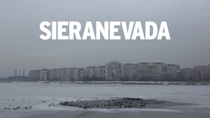 Sieranevada háttérkép