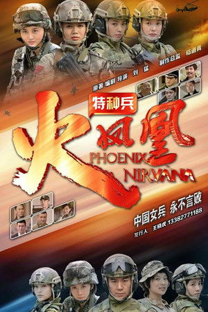 我是特种兵之火凤凰 poszter