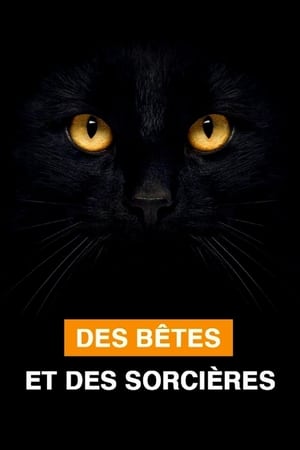 Des bêtes et des sorcières poszter