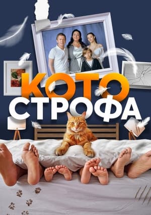 Котострофа poszter