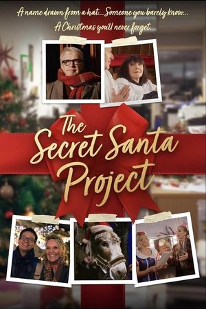 The Secret Santa Project poszter