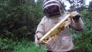 The Bearded Beekeeper háttérkép