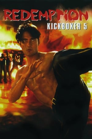 Kickboxer 5. - Az igazság nevében poszter