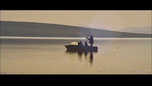 Big Fish - Цэвэрлэгээ háttérkép