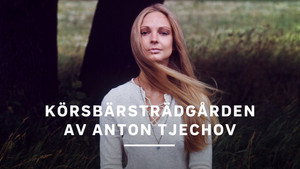 Körsbärsträdgården háttérkép