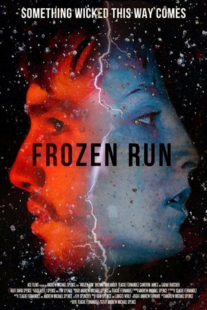 Frozen Run poszter