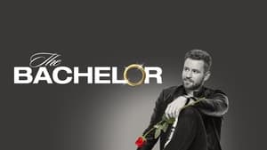 The Bachelor kép