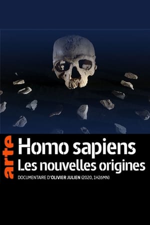 Homo sapiens, les nouvelles origines poszter