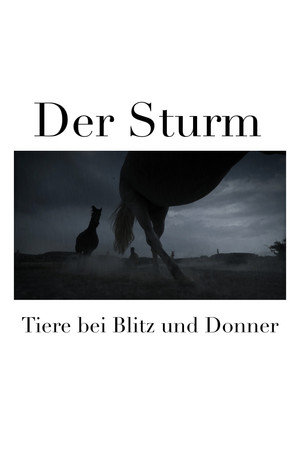 Der Sturm - Tiere bei Blitz und Donner poszter