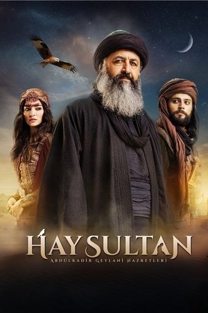 Hay Sultan poszter