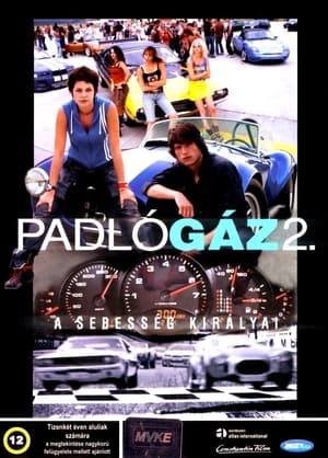 Padlógáz 2.