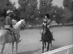 Mister Ed 3. évad Ep.12 12. epizód