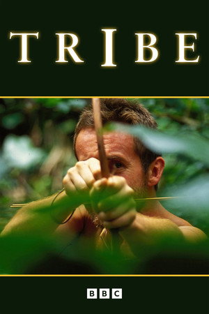 Tribe