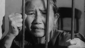 Tướng Về Hưu háttérkép