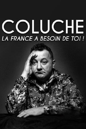Coluche, la France a besoin de toi poszter