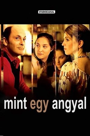 Mint egy angyal
