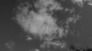 A film about nothing háttérkép