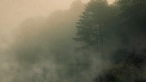Devil in the Ozarks háttérkép