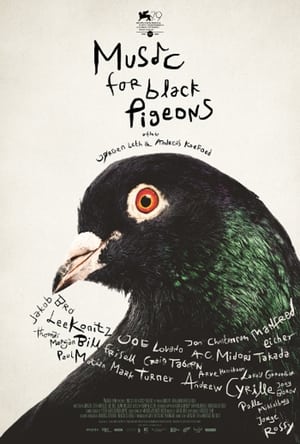 Music for Black Pigeons poszter