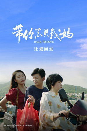带你去见我妈 poszter