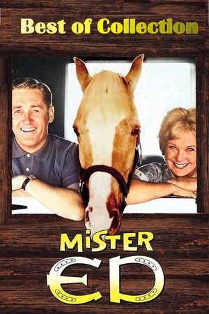 Mister Ed poszter