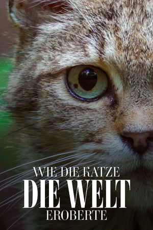 Comment le chat a conquis le monde poszter