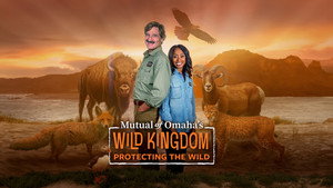 Mutual of Omaha's Wild Kingdom Protecting the Wild kép