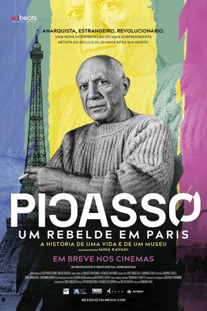 Picasso a Parigi - Storia di una vita e di un museo poszter