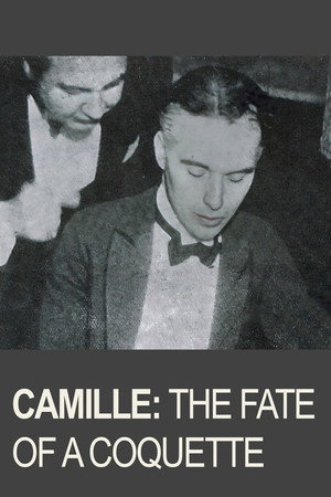 Camille poszter