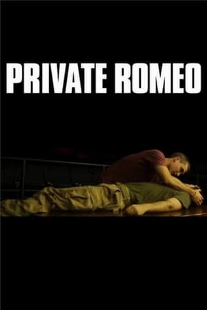 Private Romeo poszter