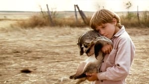 The Boy Who Talked to Badgers háttérkép