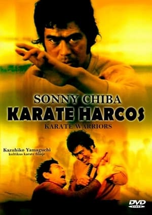 Karate harcos