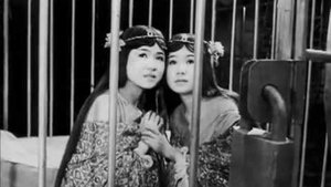 The Women of Godzilla háttérkép