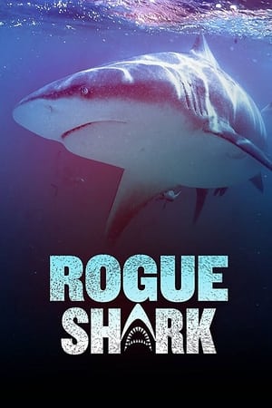 Rogue Shark poszter