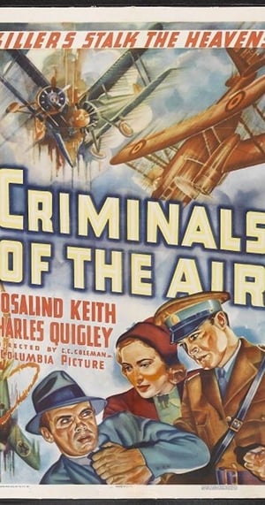 Criminals of the Air poszter