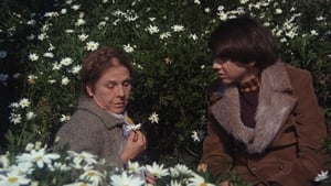 Harold és Maude háttérkép