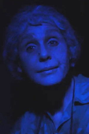Elena Bermani