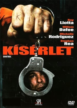 Kísérlet