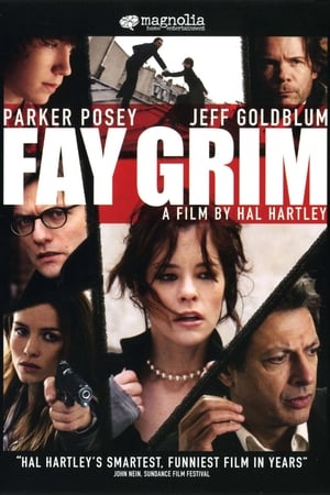 Fay Grim poszter