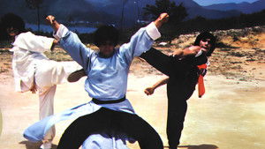 雜家高手 háttérkép
