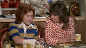 The Partridge Family Season 4 Ep.18 18. epizód