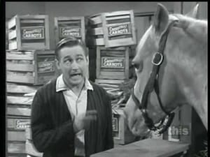 Mister Ed 5. évad Ep.10 10. epizód