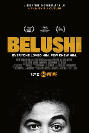 Belushi poszter