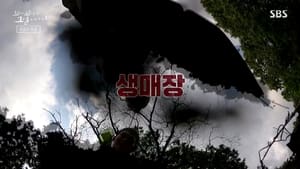 꼬리에 꼬리를 무는 그날 이야기 3. évad Ep.40 40. epizód