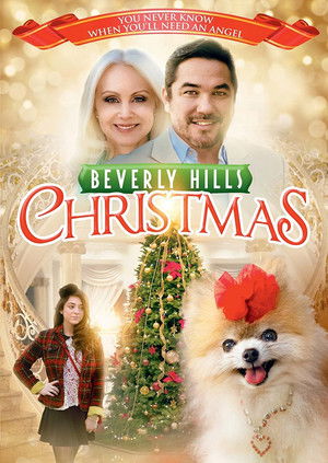 Beverly Hills Christmas poszter