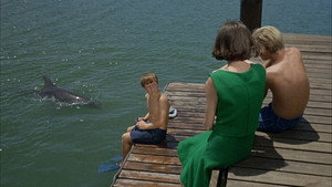 Flipper Season 1 Ep.12 12. epizód