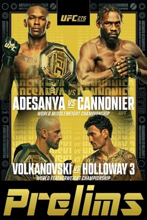 UFC 276: Adesanya vs. Cannonier poszter