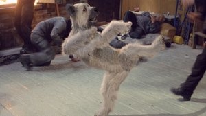 Karate kutya háttérkép