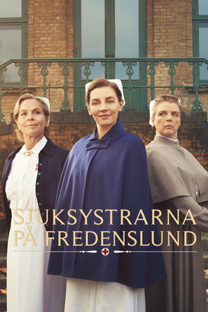 Sygeplejeskolen poszter
