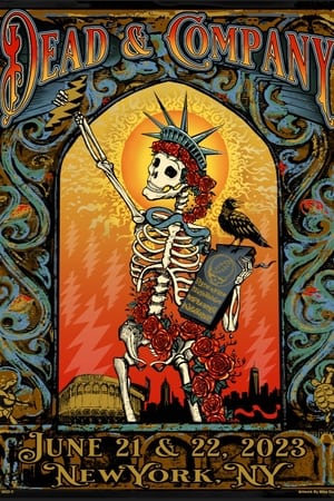 Dead & Company: 2023-06-21 Citi Field, New York, NY, USA poszter